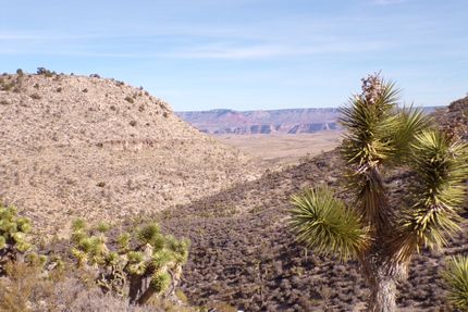 Undeveloped Land for sale in Mohave County, Arizona