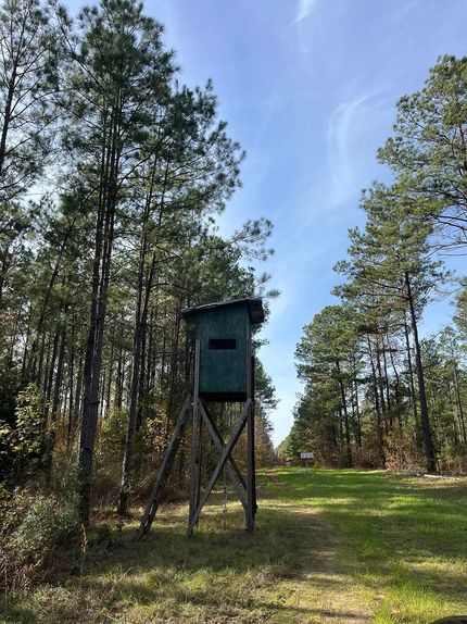 Farm Property in Claiborne Parish, Louisiana
