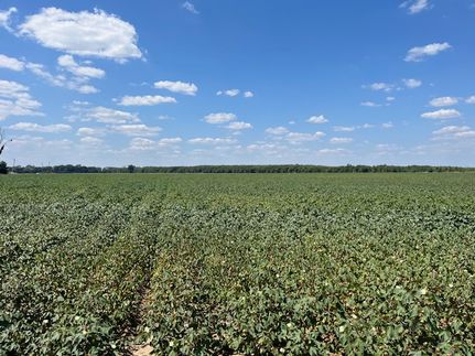 Property for sale in Quitman County, Mississippi