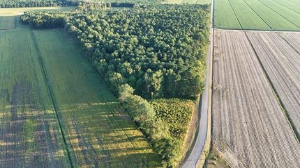 Ranch Property for sale in Beaufort County, North Carolina