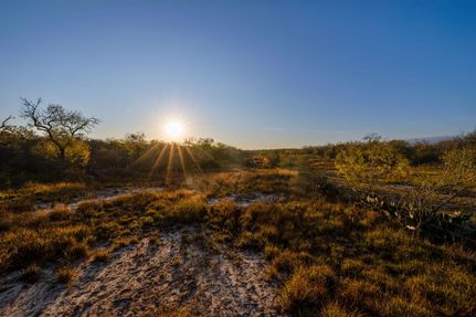 Undeveloped Land for sale in Atascosa County, Texas