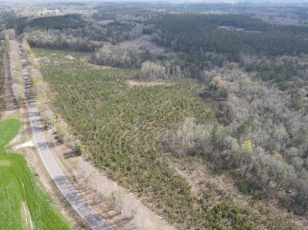 Farm Property for sale in Crenshaw County, Alabama