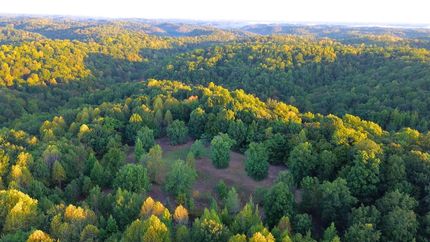 Timberland Property for sale in Davidson County, Tennessee