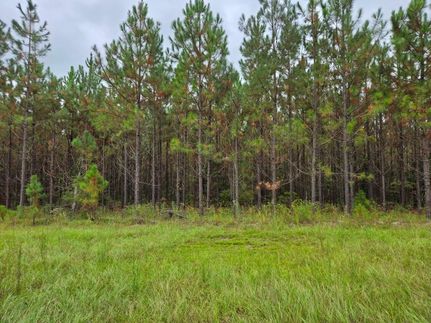 Property for sale in Emanuel County, Georgia
