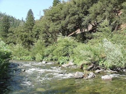 Waterfront Property for sale in Trinity County, California