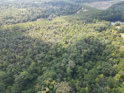 Ranch Property in Washington County, Florida