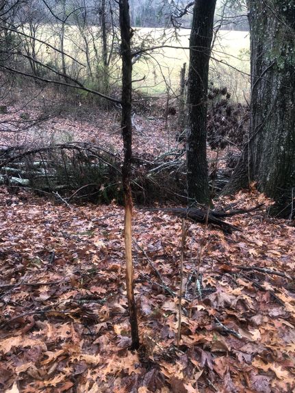 Ranch Property for sale in Prentiss County, Mississippi