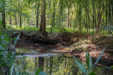 Property for sale in Union County, North Carolina