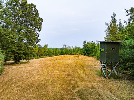 Timberland Property for sale in Benton County, Tennessee