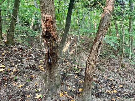 Property for sale in Logan County, West Virginia