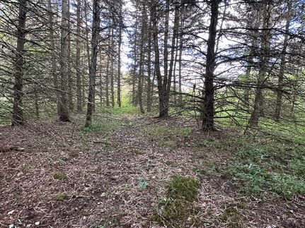 Property for sale in Allegany County, New York
