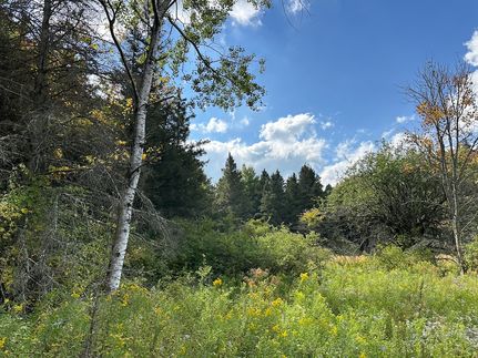 Property for sale in Allegany County, New York