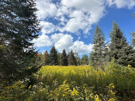 Property for sale in Allegany County, New York