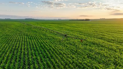 Property for sale in Dixon County, Nebraska