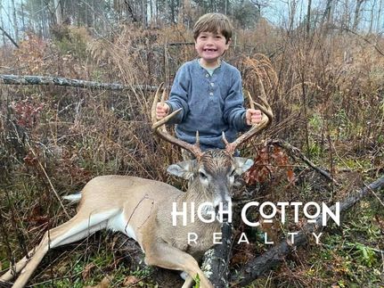 Property for sale in Holmes County, Mississippi