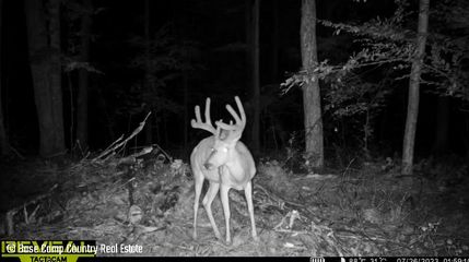 Property for sale in Langlade County, Wisconsin