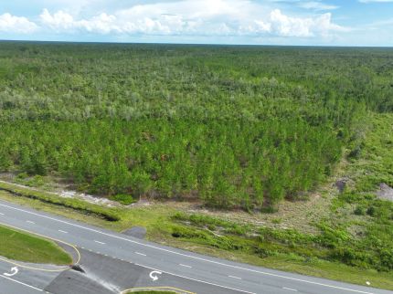 Hunting Land for sale in Clinch County, Georgia