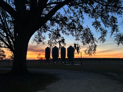 Property for sale in Suwannee County, Florida