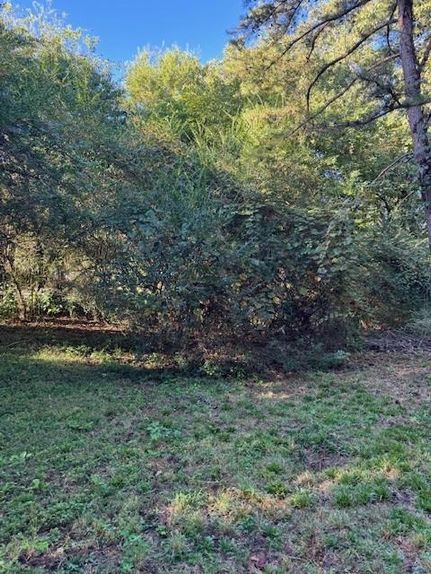 Undeveloped Land for sale in Marion County, Tennessee