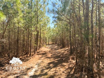 Recreational Property in Kershaw County, South Carolina