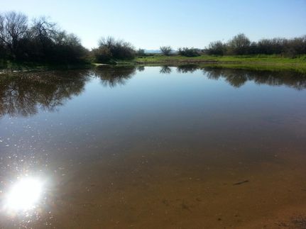 Property for sale in Maricopa County, Arizona