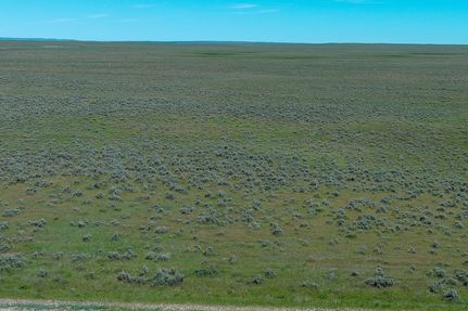 Undeveloped Land in Treasure County, Montana