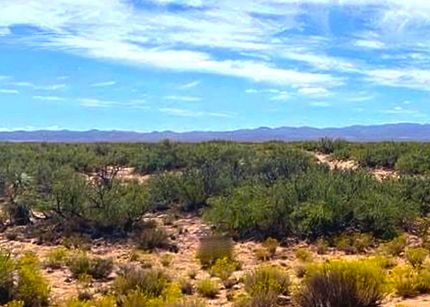 Ranch Property for sale in Culberson County, Texas