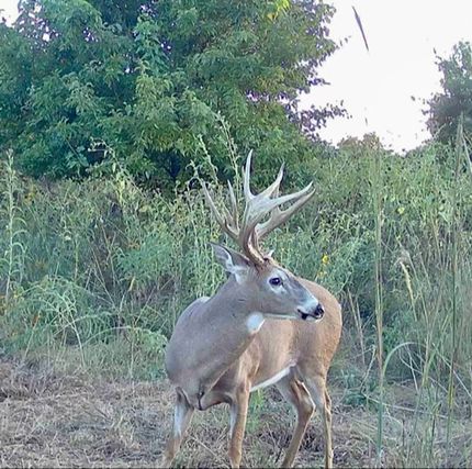 Ranch Property for sale in Kay County, Oklahoma