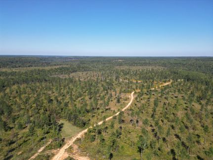 Timberland Property for sale in Colbert County, Alabama
