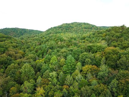Farm Property for sale in Scott County, Tennessee