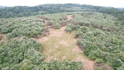 Hunting Land for sale in Clearfield County, Pennsylvania