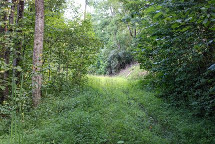 Property for sale in Preston County, West Virginia