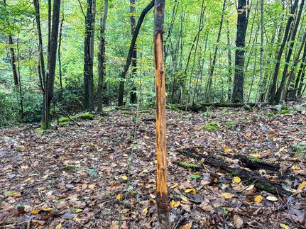 Property for sale in Marion County, West Virginia