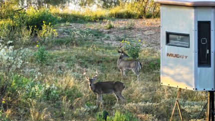 Farm Property for sale in San Saba County, Texas