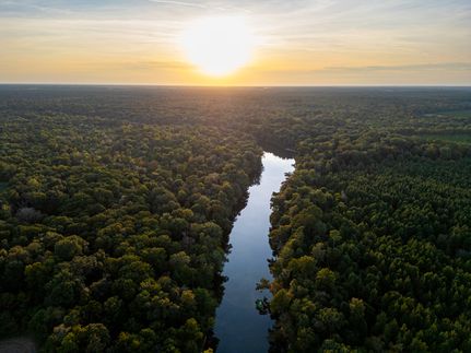 Ranch Property in Worth County, Georgia