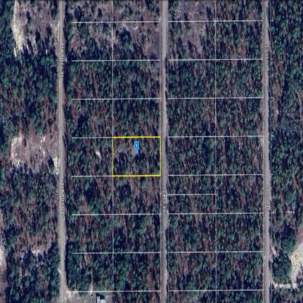 Undeveloped Land for sale in Levy County, Florida