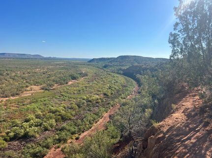 Hunting Land for sale in Coke County, Texas