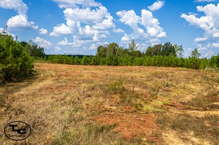 Timberland Property for sale in Chester County, Tennessee