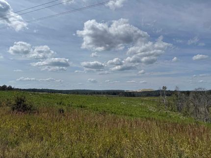 Hunting Land for sale in Twiggs County, Georgia