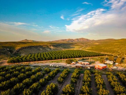 Property for sale in Sierra County, New Mexico