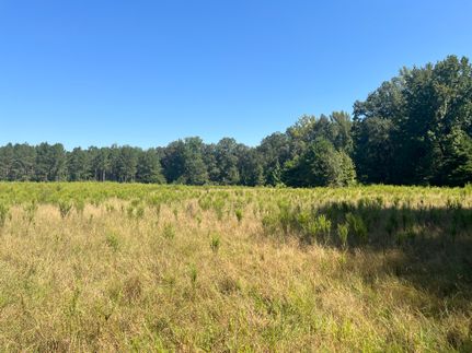 Farm Property for sale in Jasper County, Mississippi