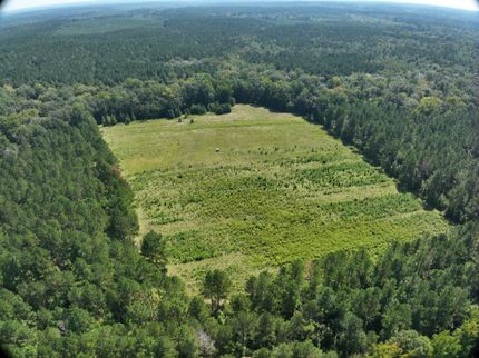 Ranch Property for sale in Jasper County, Mississippi