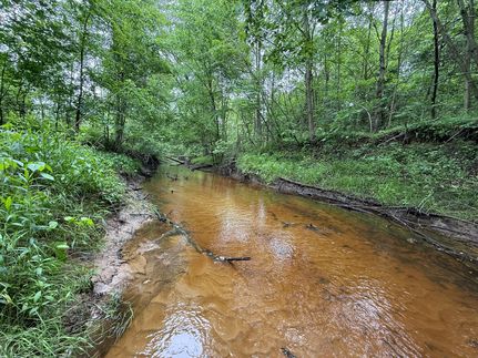 Property for sale in Midland County, Michigan