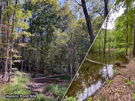 Timberland Property for sale in Vinton County, Ohio