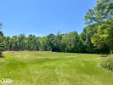 Hunting Land for sale in Conecuh County, Alabama