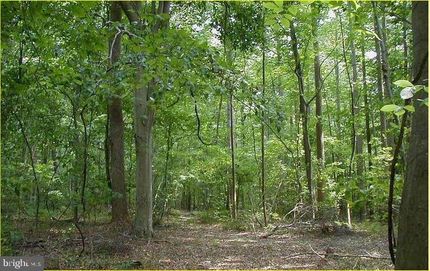 Ranch Property for sale in Prince Georges County, Maryland