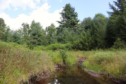 Recreational Property for sale in Warren County, New York