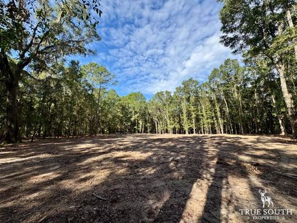 Recreational Property for sale in Jasper County, South Carolina