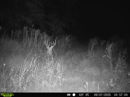 Recreational Property for sale in Fulton County, Illinois