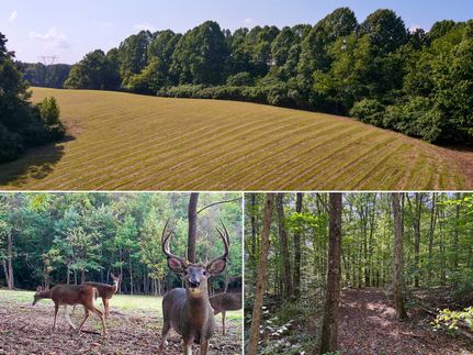 Undeveloped Land for sale in Vinton County, Ohio